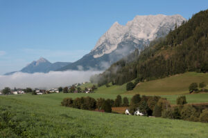 IMG 0310