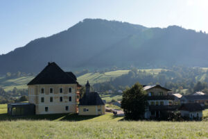 IMG 0314 Copie