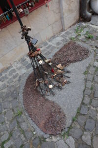IMG 0408