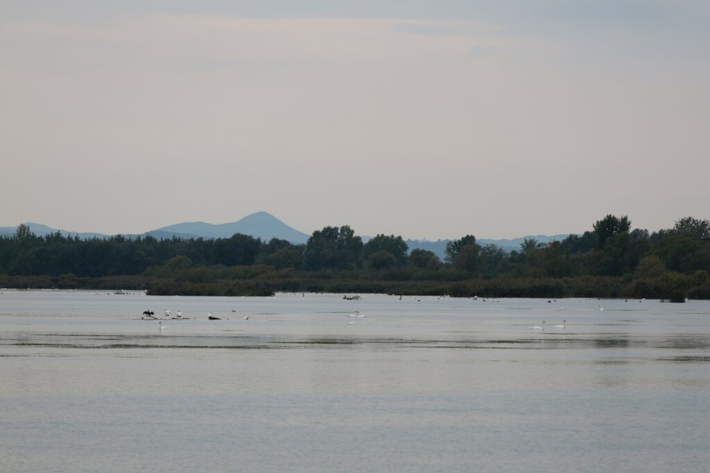 IMG 0448