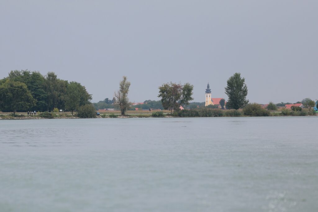IMG 0490