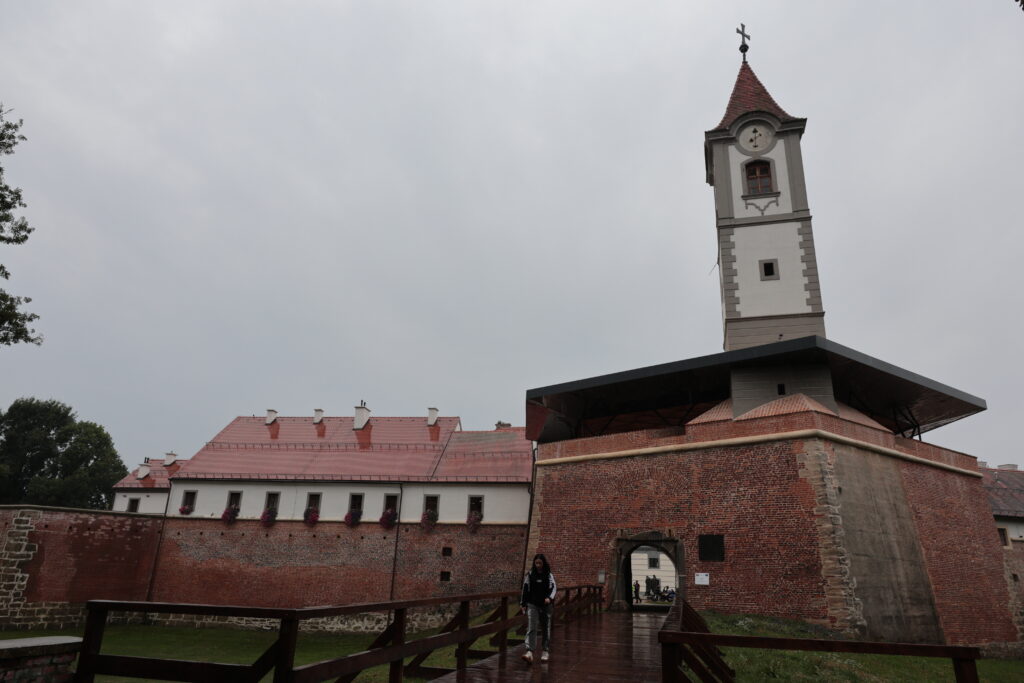 IMG 0529