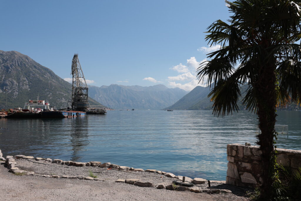 IMG 0905