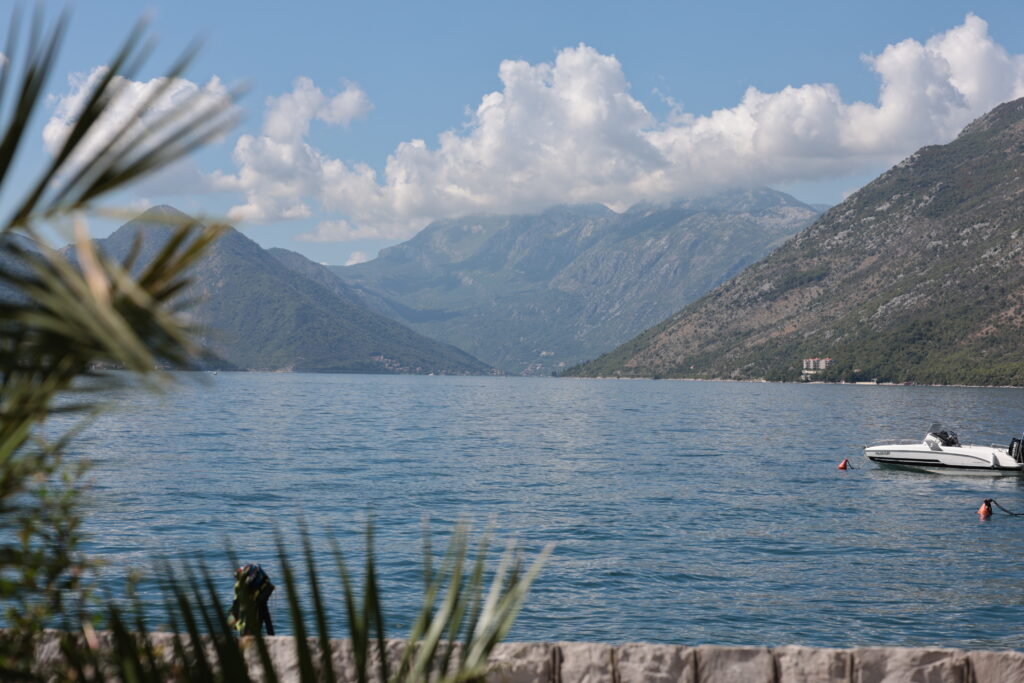 IMG 0907